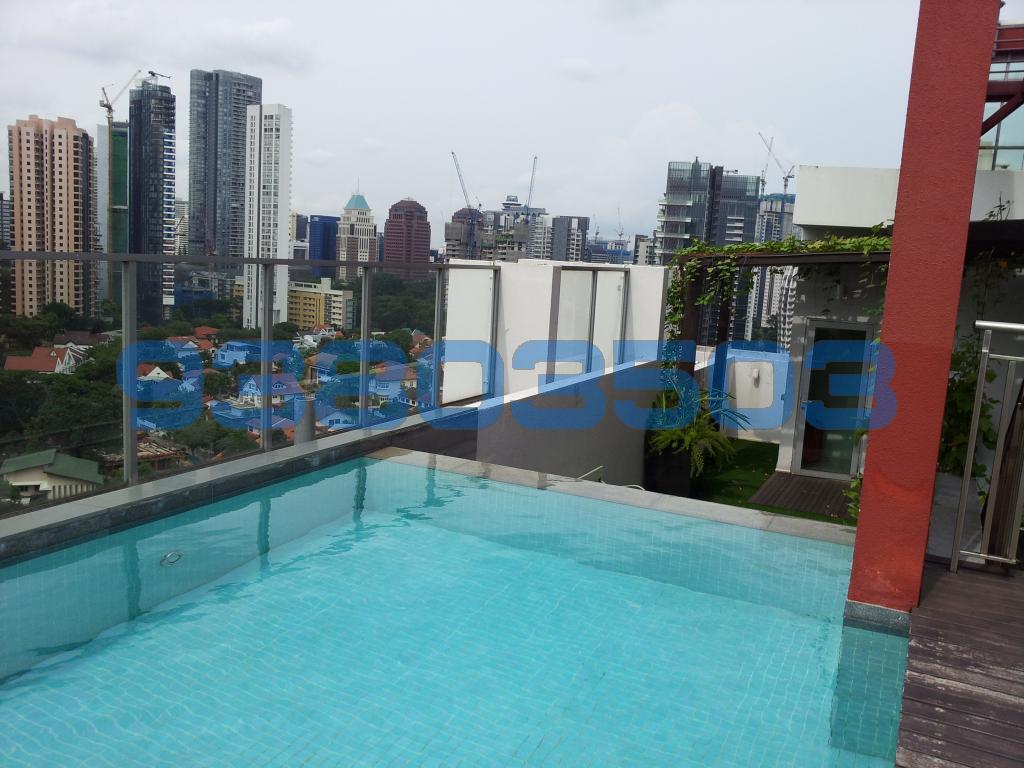 One Tree Hill Residence (D10), Apartment #91564172